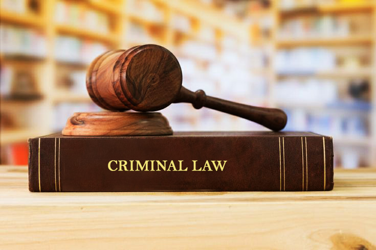 Criminal Litigation 