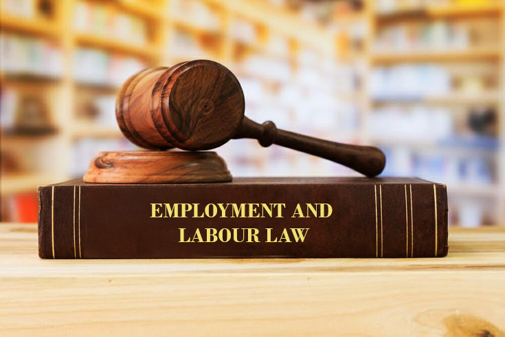 Employment and Labour